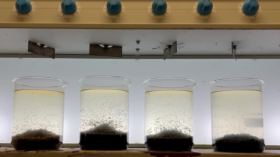 Flocculants